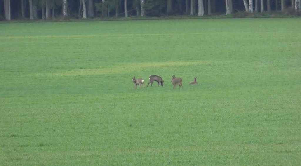 An den Eichen auf dem Bauernhof in HeberSurbostel 