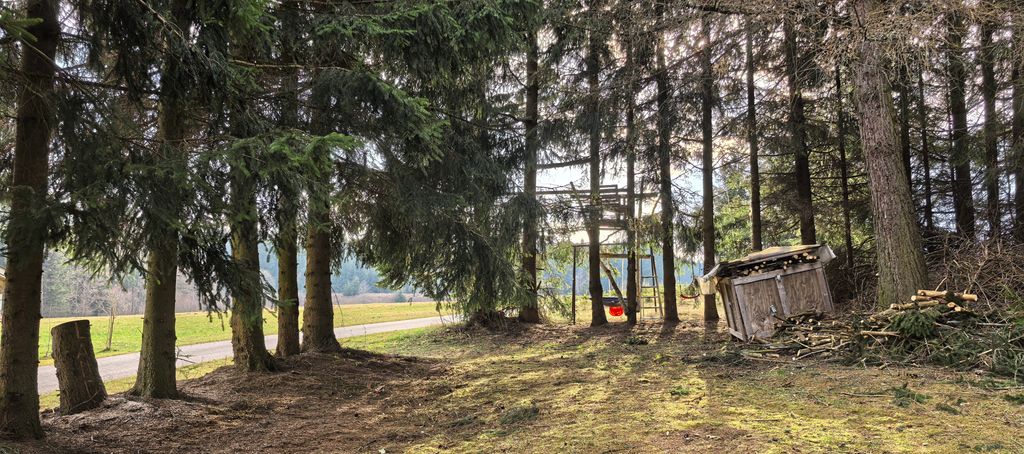 Camping on the alpine pasture and by the stream at 800 meters altitude