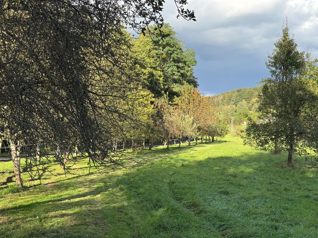 Idyllischer Wiesenstellplatz zwischen Apfelbäumen
