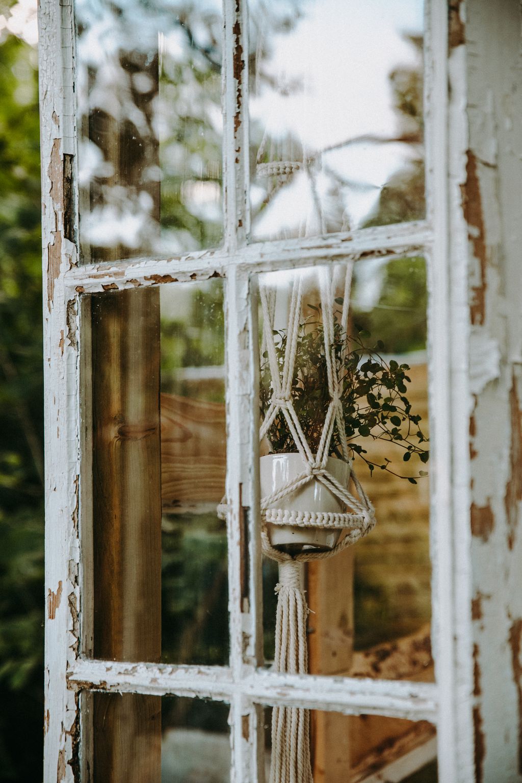 Tiny House romantique avec vue sur la verdure