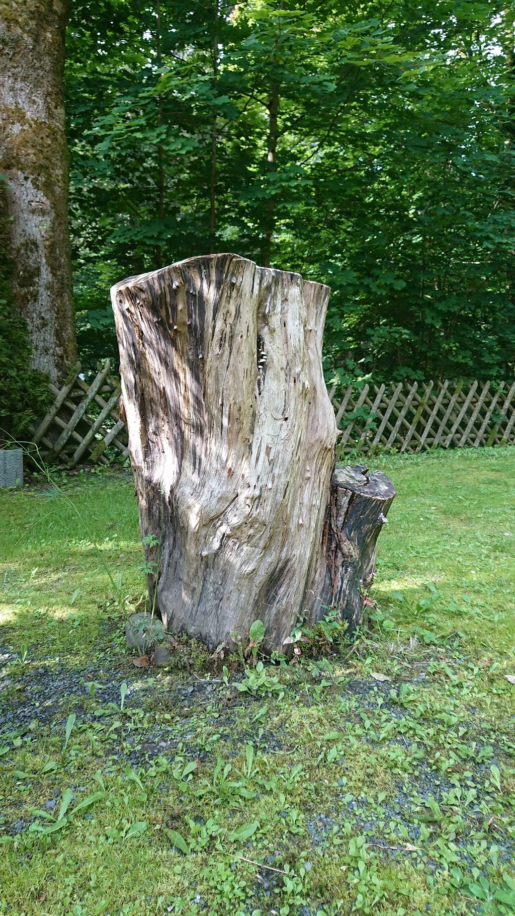 Emplacement dans la vallée de Sieber - au bord de la rivière, avec de l'ombre