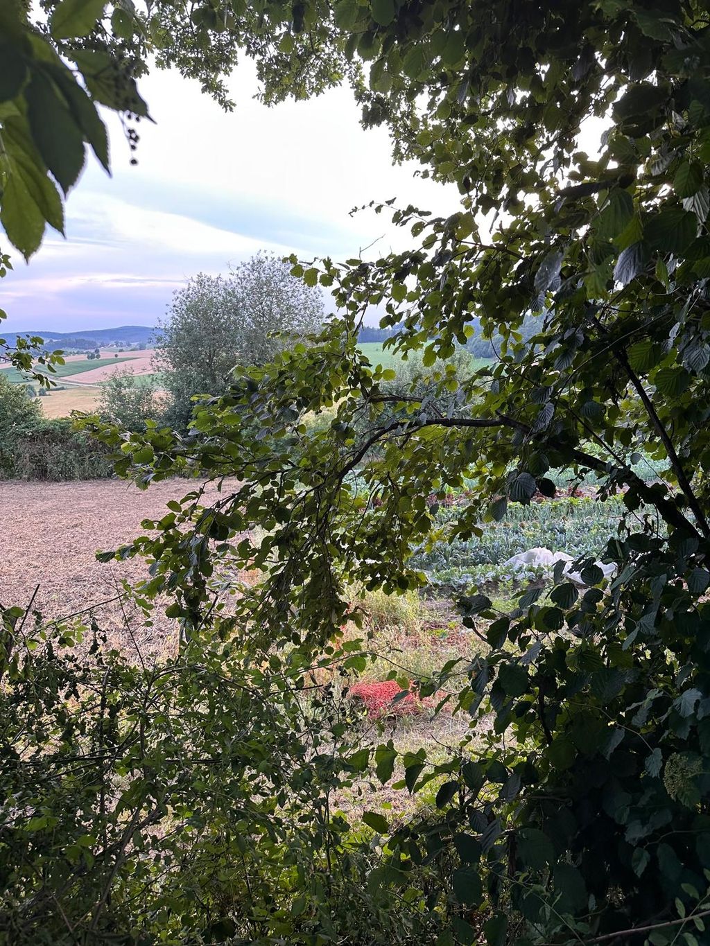 Campeggio in una fattoria biologica nella valle di Gutenecker