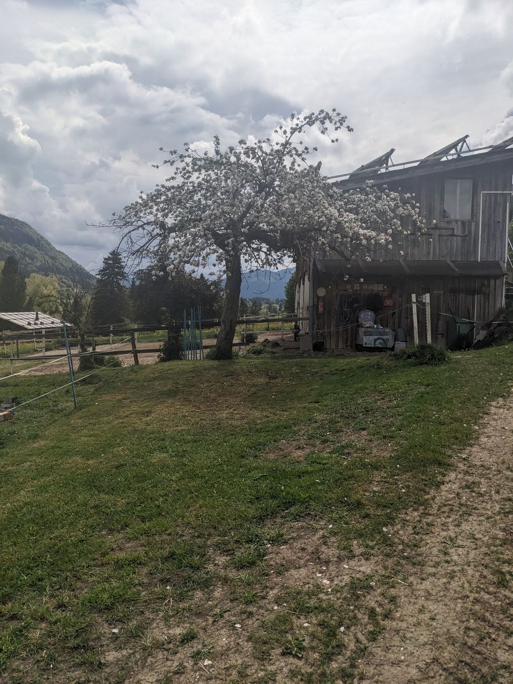Première place de stationnement près des chevaux