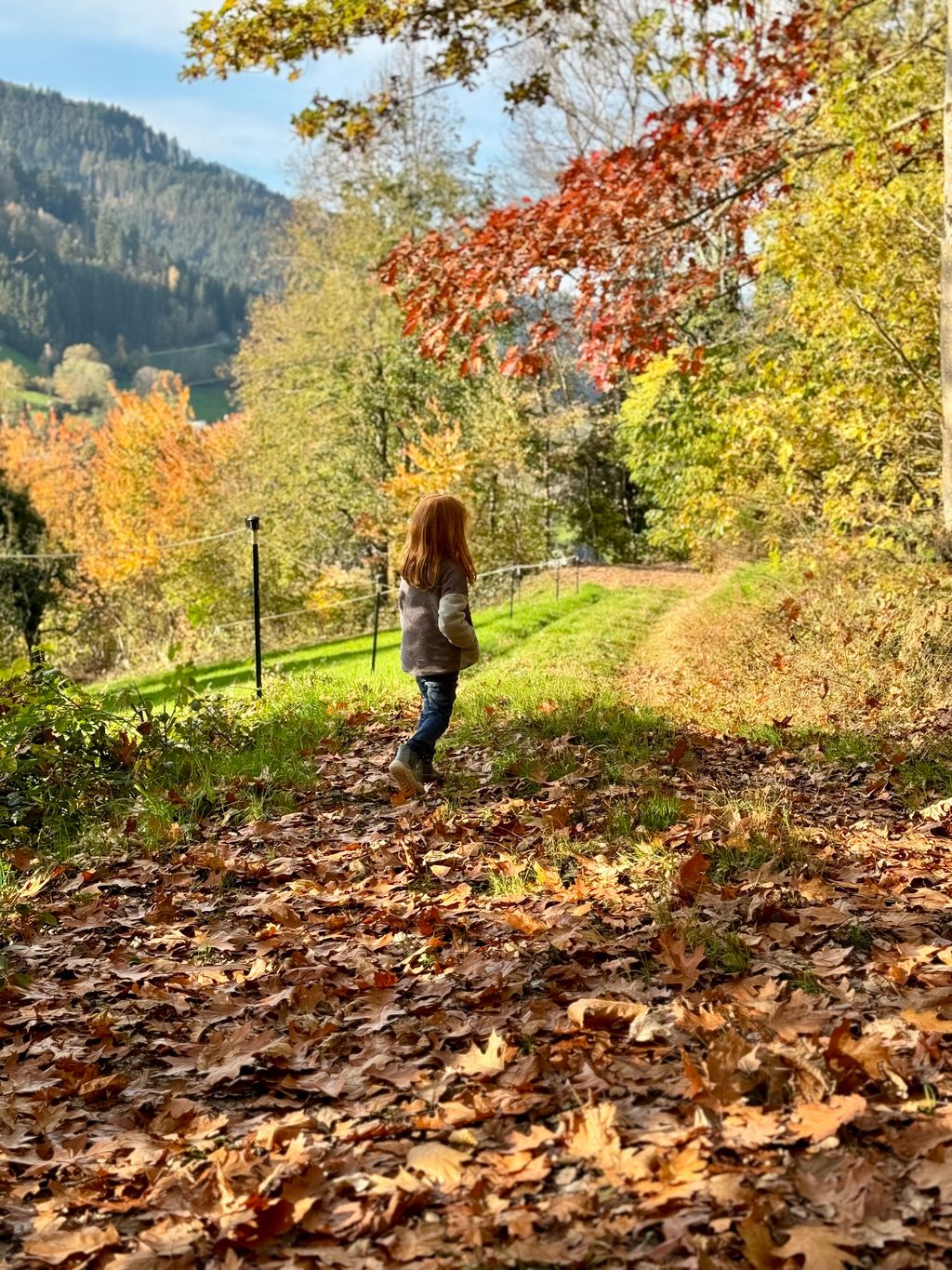 Waldrand Idylle inmitten der Natur in Alleinlage