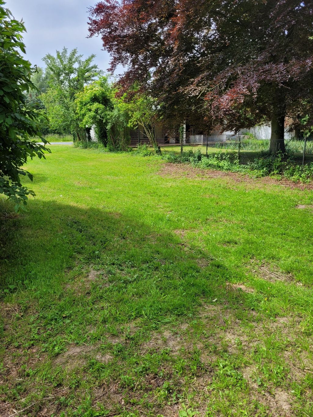 Wiese am Quellteich zwischen Werl und Unna