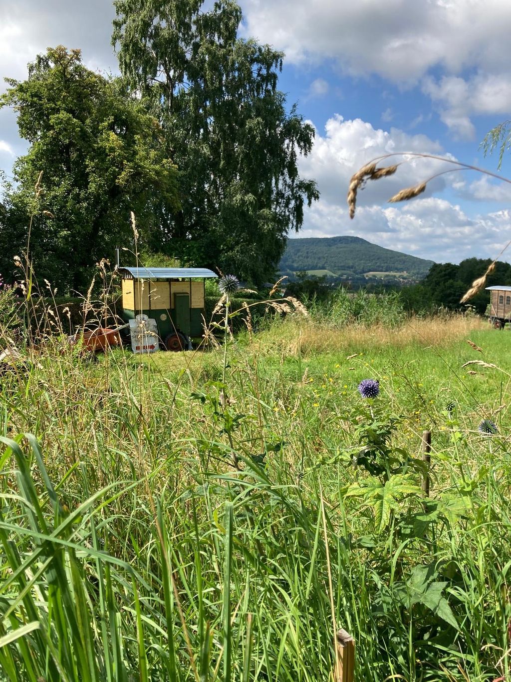 Zelten mit Ithblick am Hang des Osterwaldes
