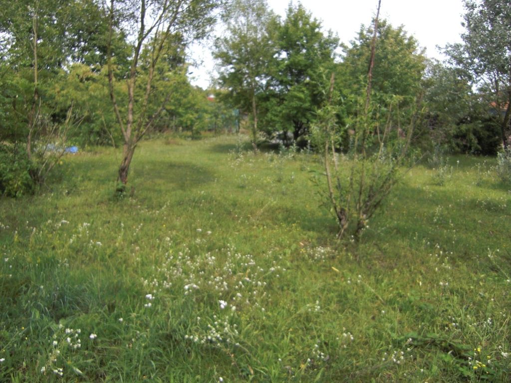 Einzelstellplatz im Mini-Dorf mitten im Wald
