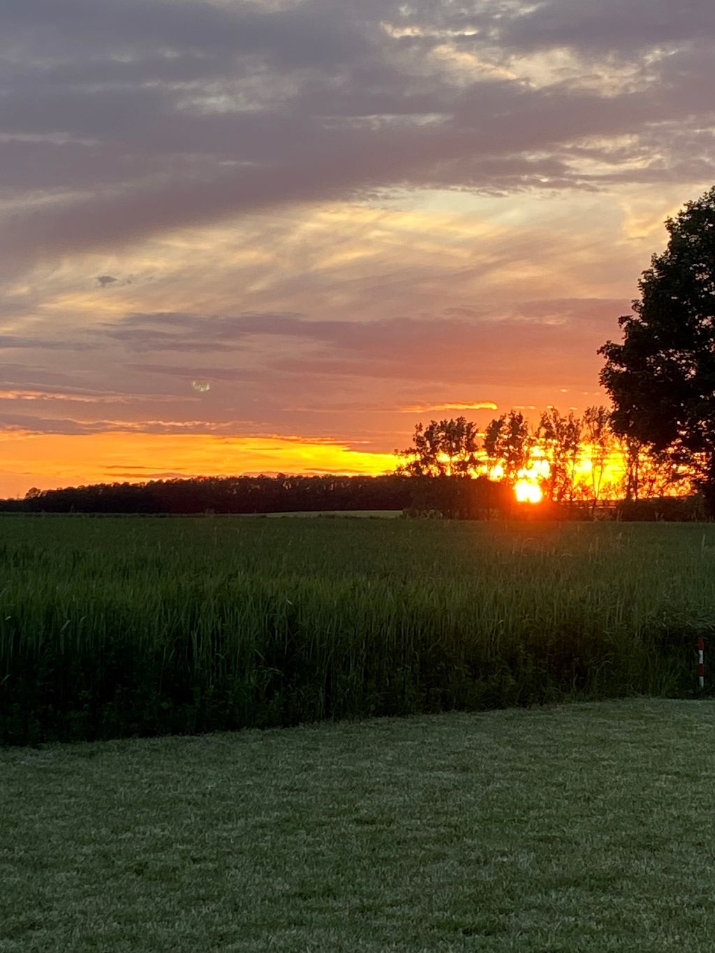 Camping Spot Giebelstadt