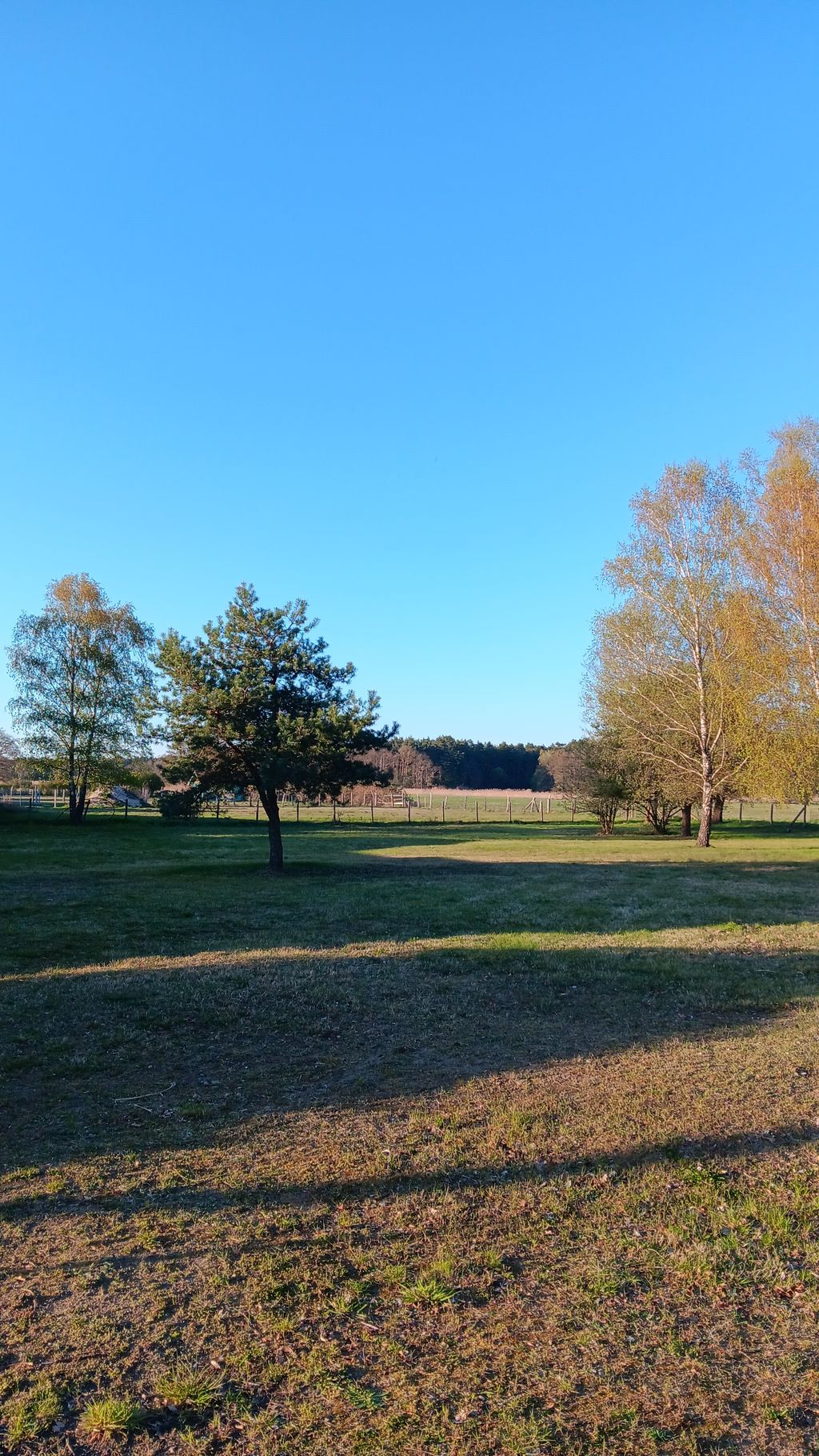 Ampio prato naturale vicino alla casa: tranquillità e a soli 200 m dal fiume