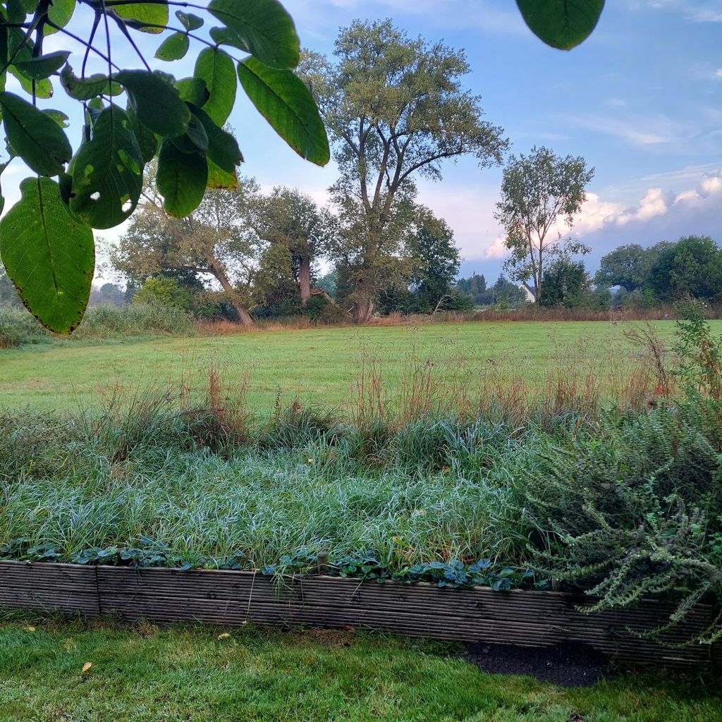 Quiet meadow by the river: Experience nature & wildlife