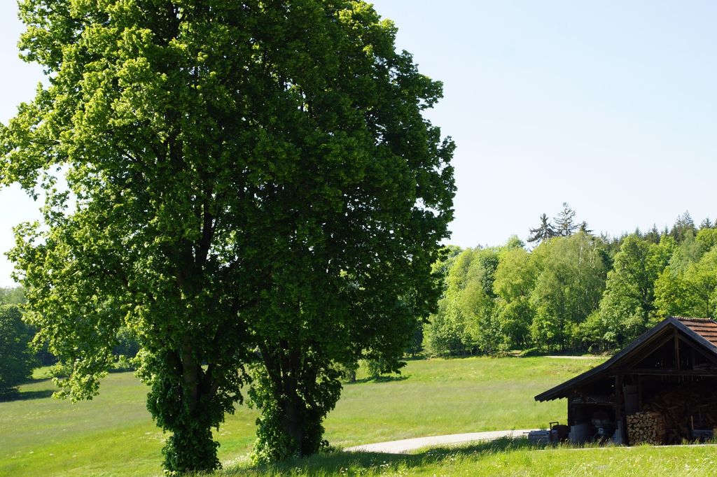 Natur hautnah mit allen Sinnen erleben- 2 Personen