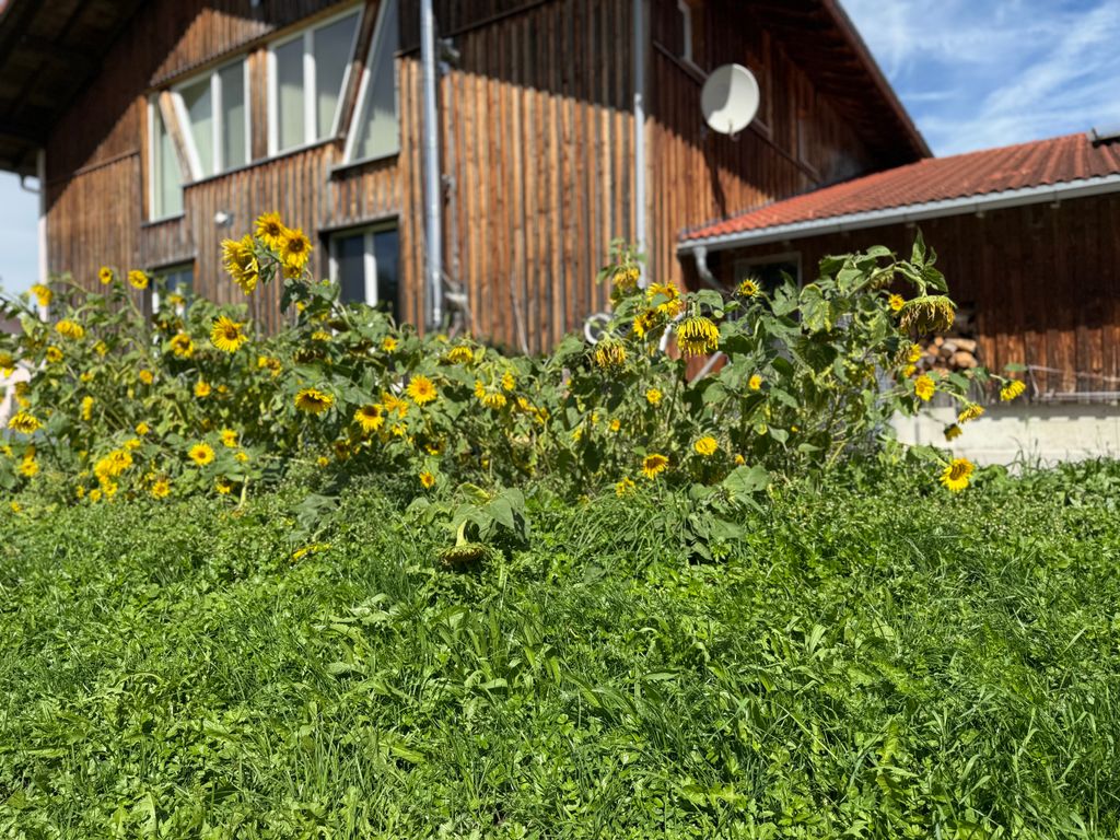 Ruhiger Stellplatz am Biohof mit Alpenblick