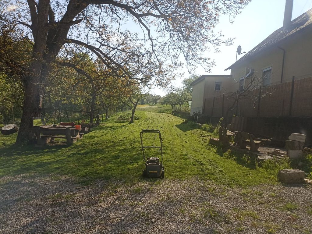 Under the walnut tree in the untouched Ettetal valley