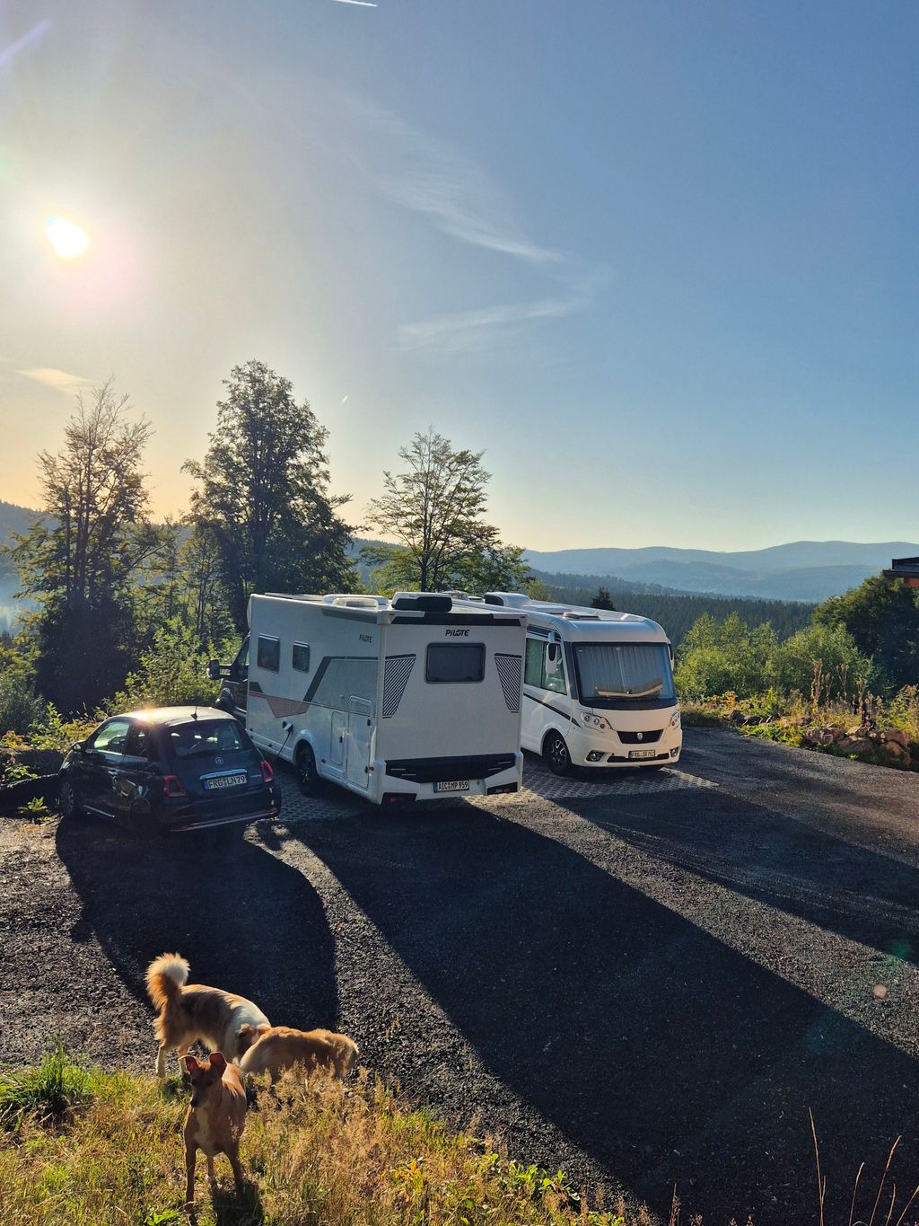 Dans un ranch au cœur de la forêt bavaroise