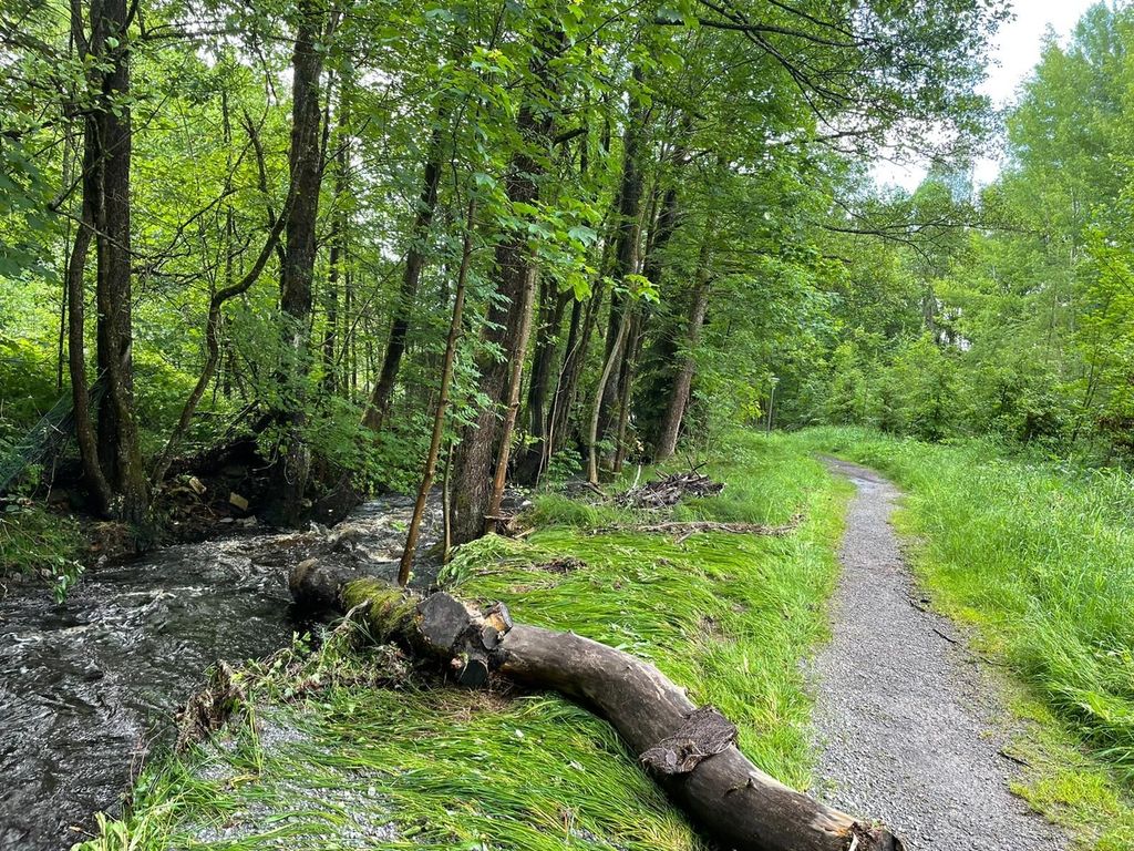 Piazzola a Spiegelau direttamente nel parco nazionale