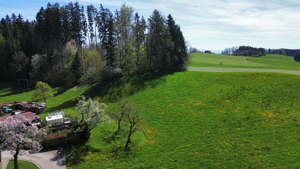 Alleinlage auf der Obstwiese mit Wald & Bach Blick