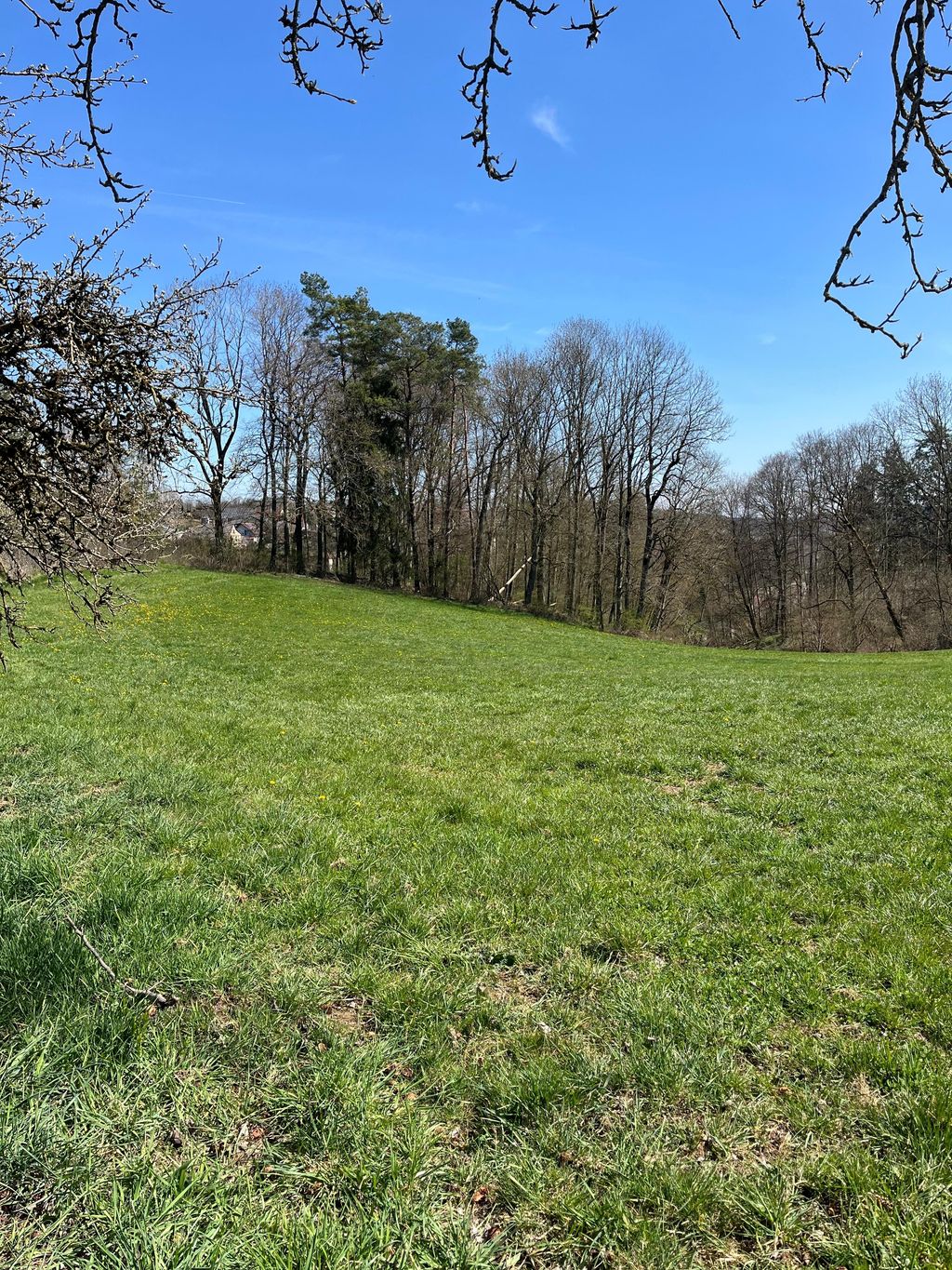 Camping Ruine Hornstein