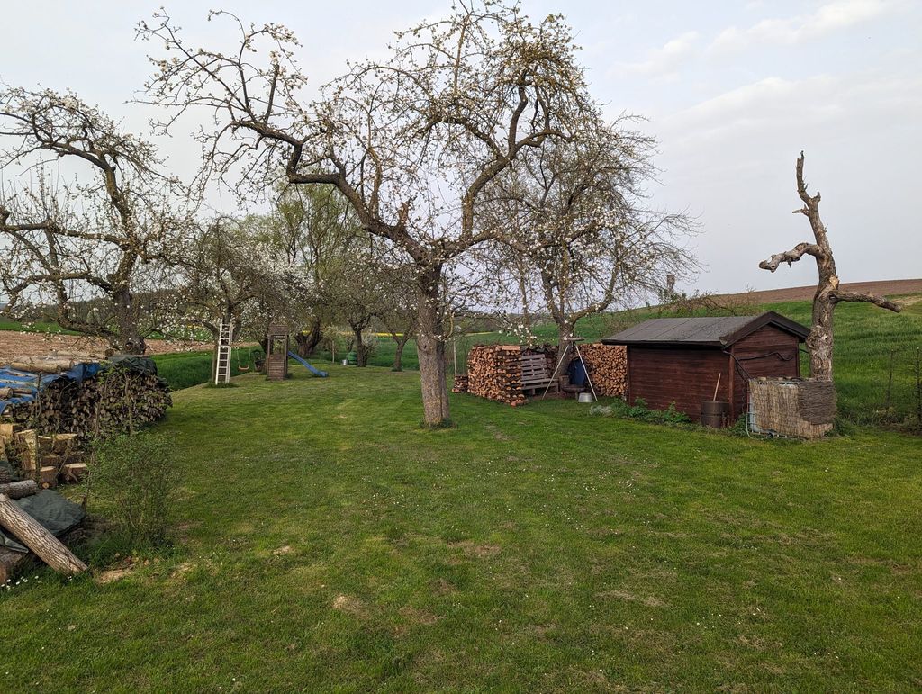 Huerto tranquilo rodeado de campos