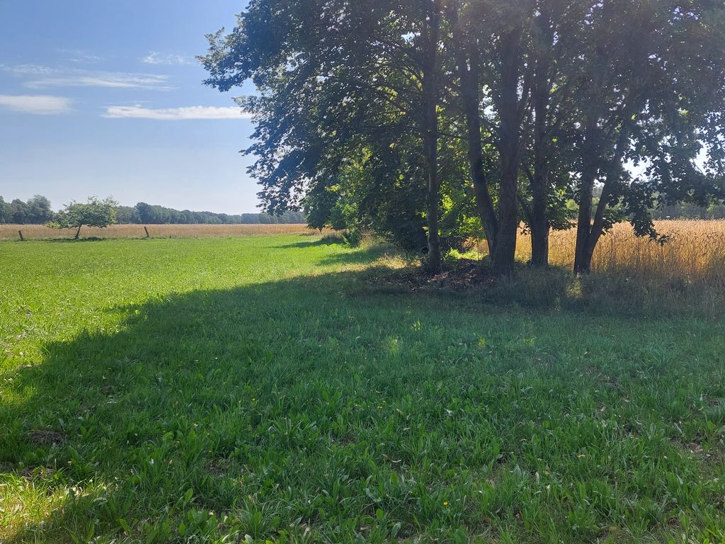 Aire de stationnement dans un pré près de la lande de Lunebourg