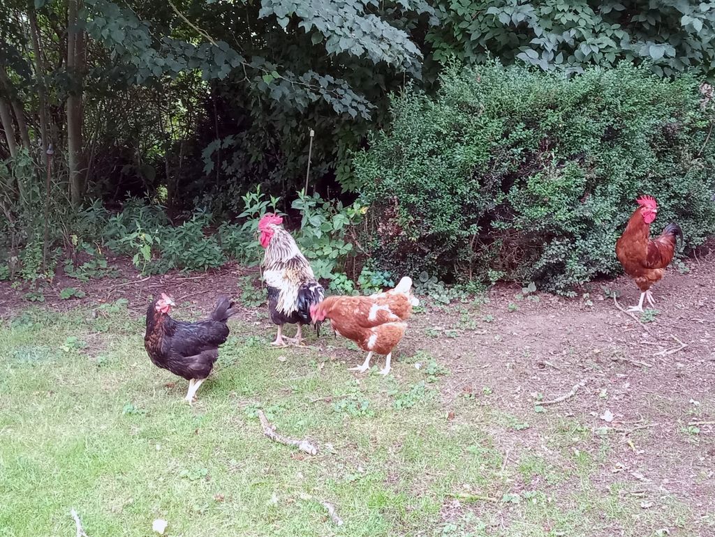 Camping auf dem Bauernhof in abgeschiedener Lage