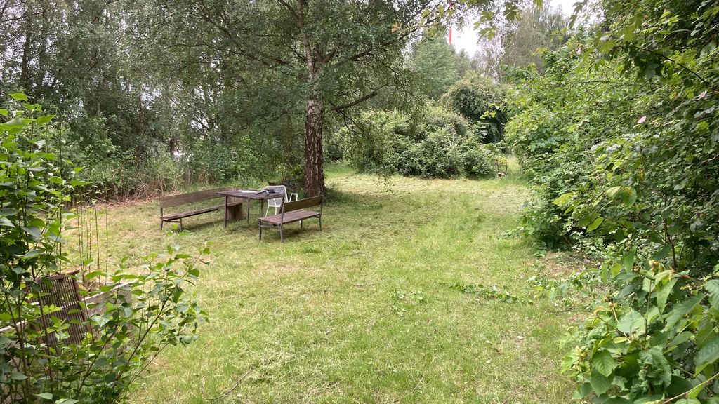 Nature experience in the middle of Hamburg