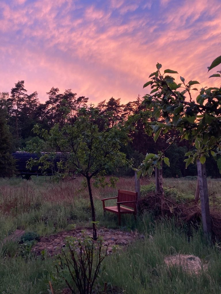 Iglucraft dans le parc naturel de Wendland, près de l'Elbe