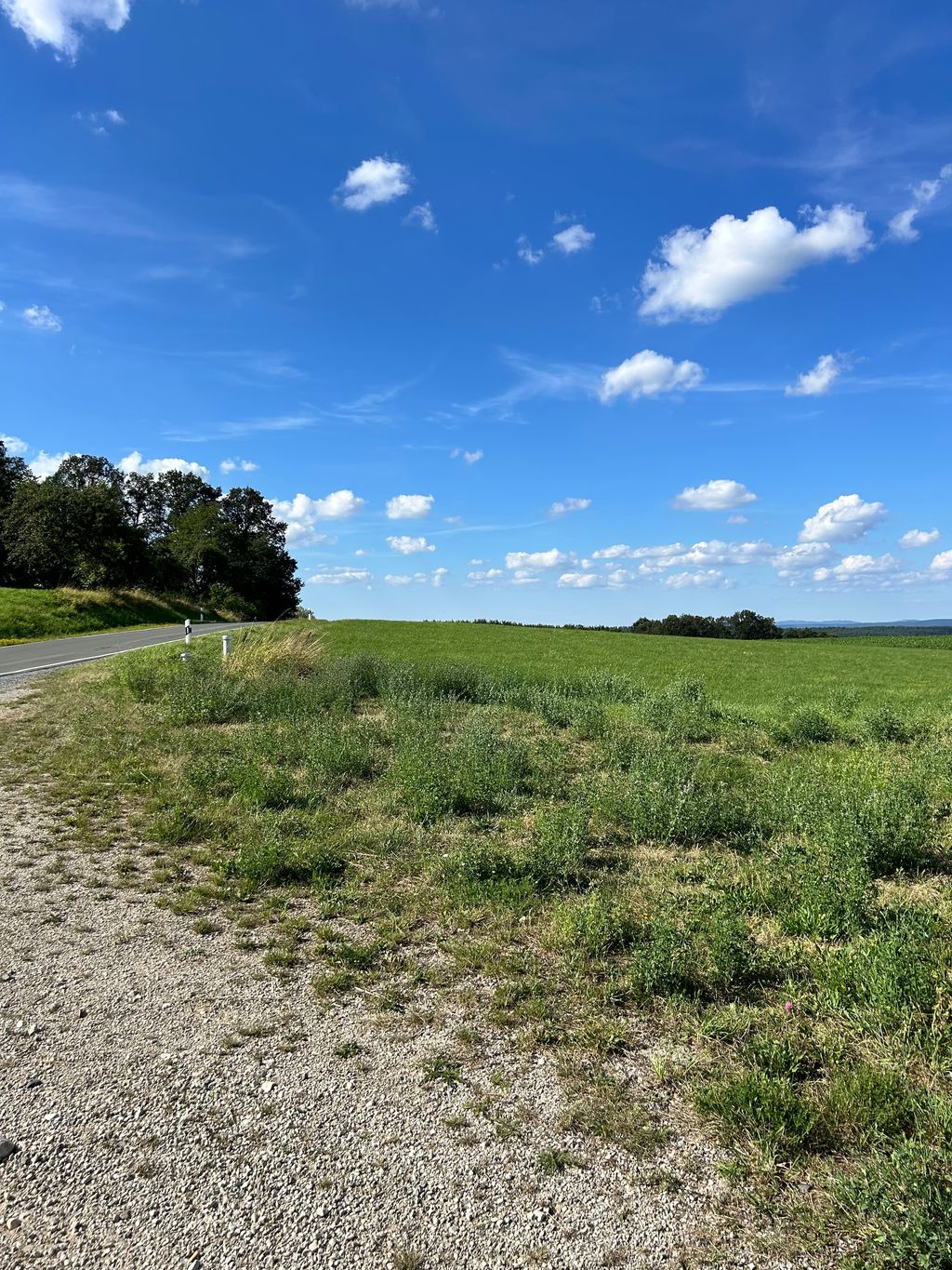 Pitch with view of Ochsenkopf and Schneeberg