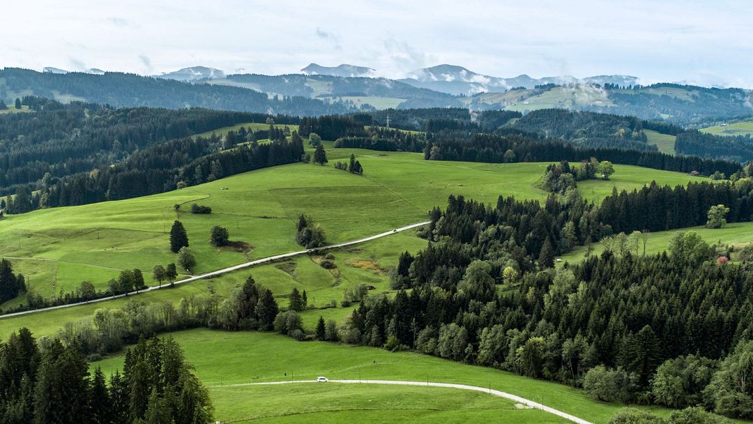 Wald und Wiesen in den Bergen