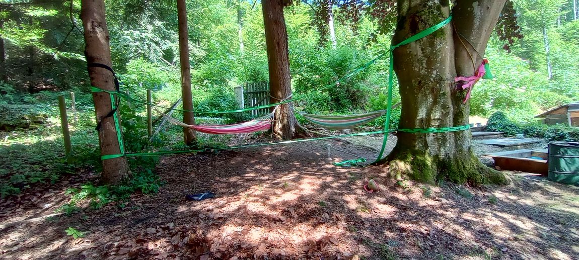 Piazzola forestale per piccolo camper o tenda