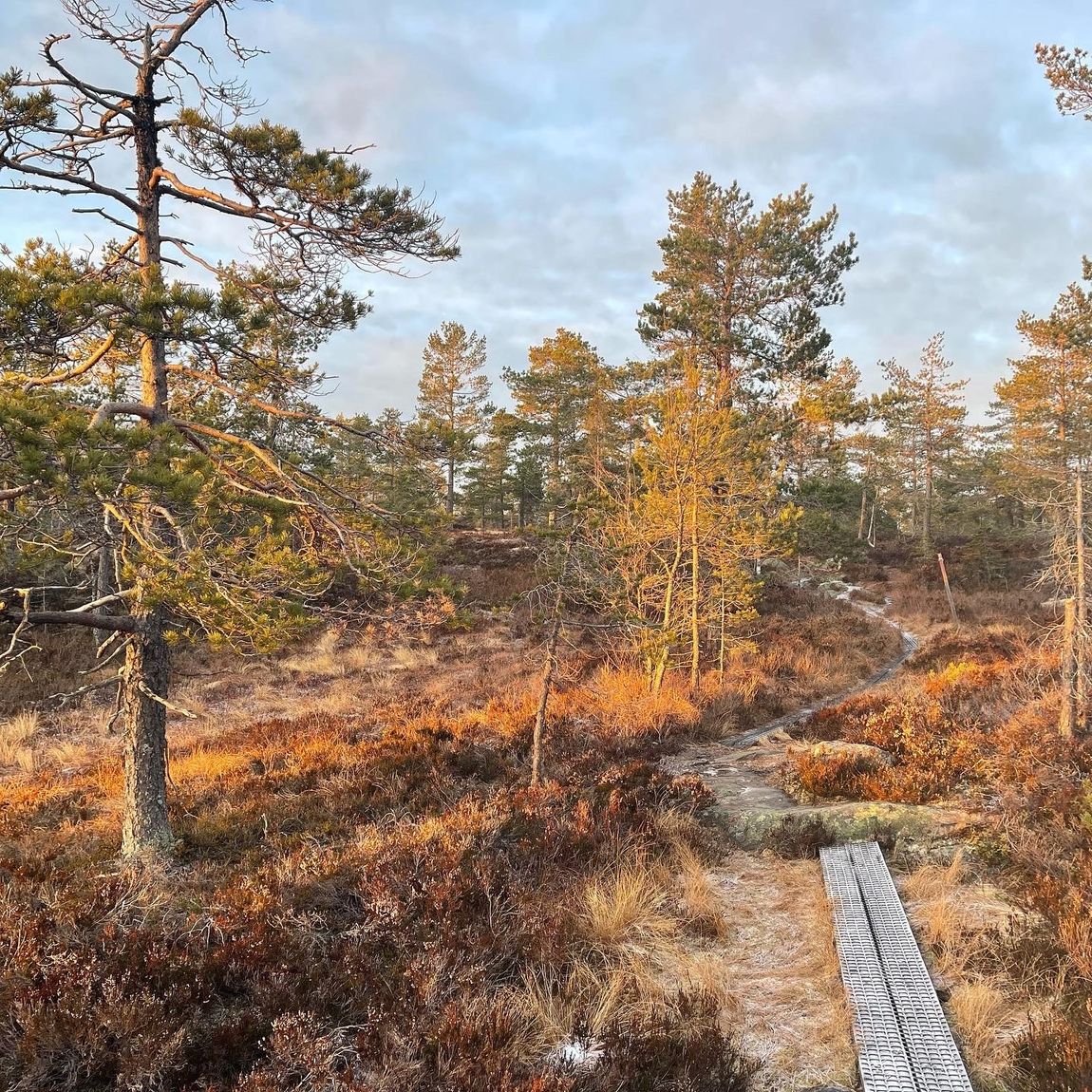 Traumhafte Idylle mitten im Wald in Schweden