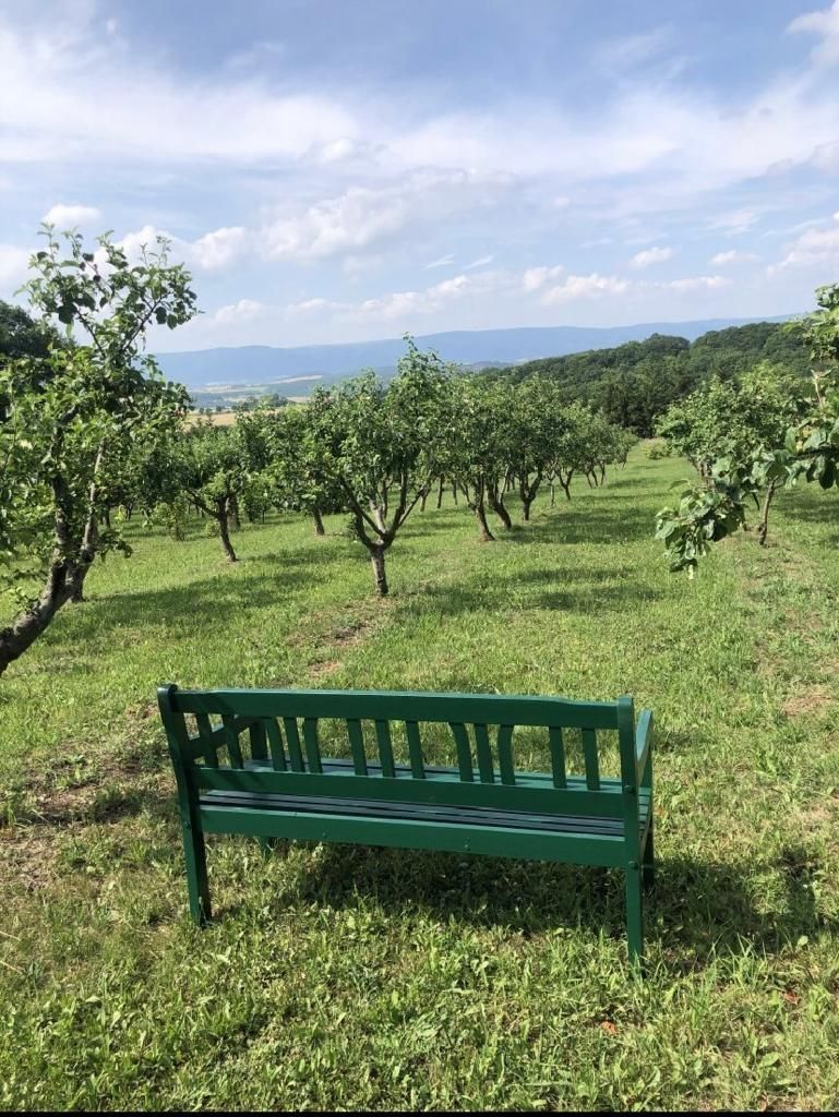 Apple orchard in Czech Republic with view of Ore Mountains