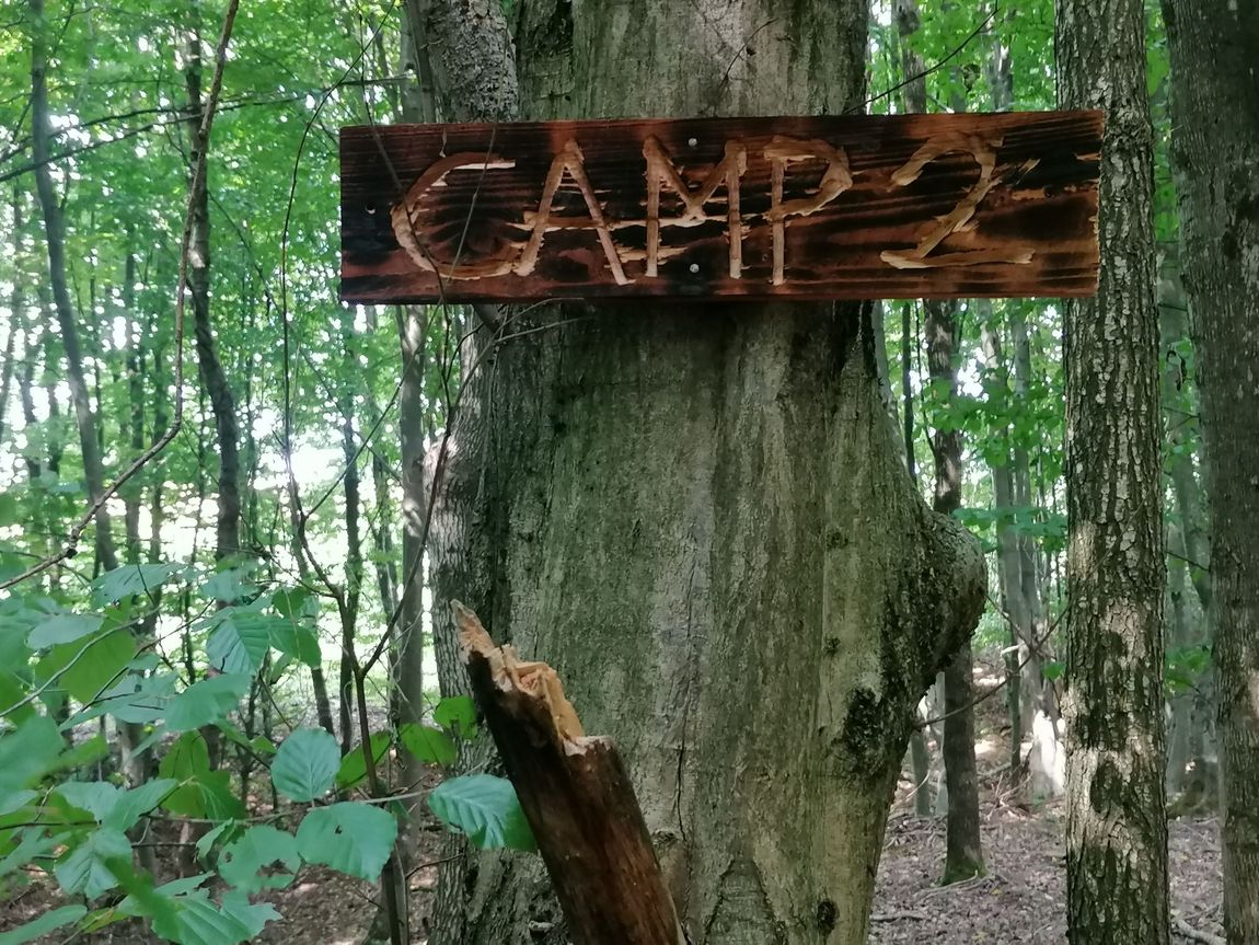 "Campeggio selvaggio" nella foresta per gli avventurieri del bushcraft