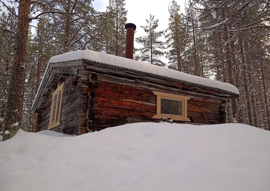 Log cabin in absolute wilderness - "lonely lynx".