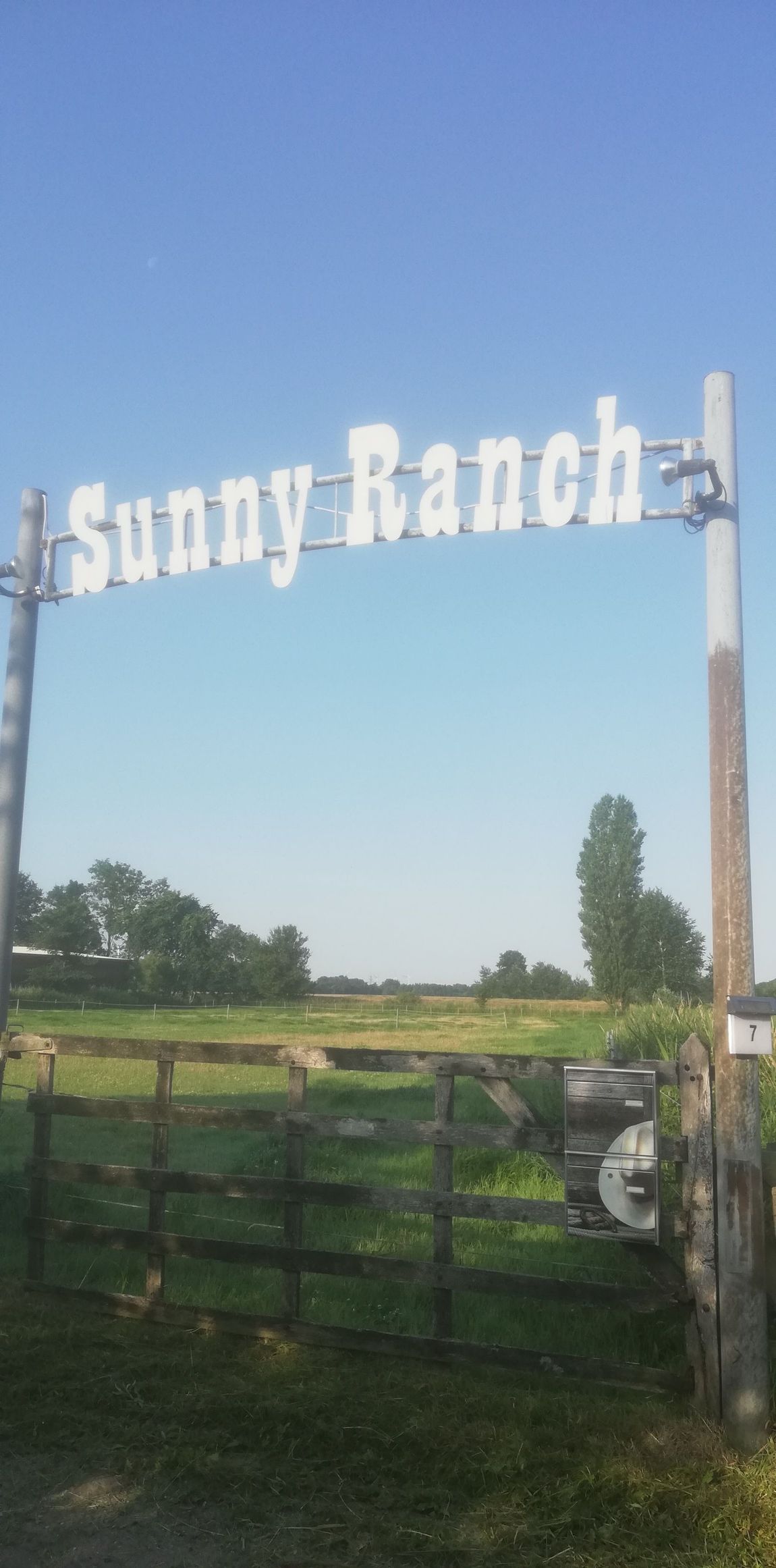 Un posto nel ranch dei cavalli