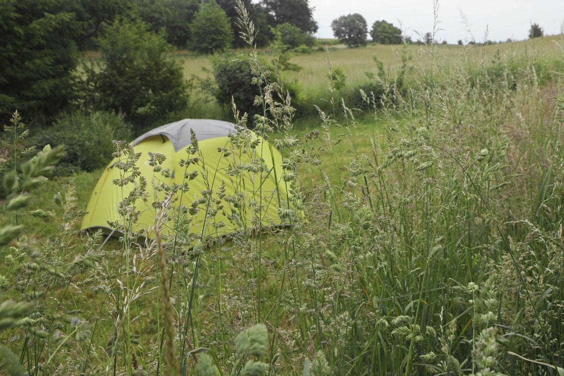 Entspannt Zelten auf der Fuchswiese