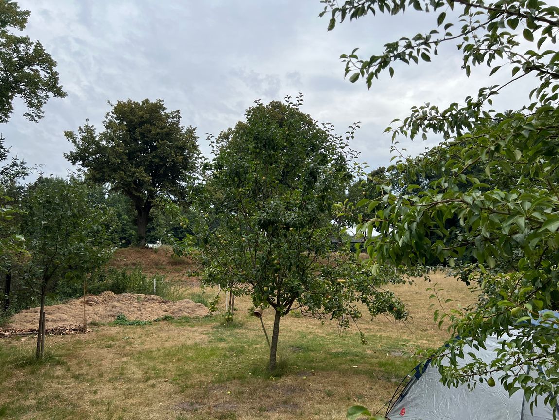 Tent site in the fruit meadow at the Mittelandkanal