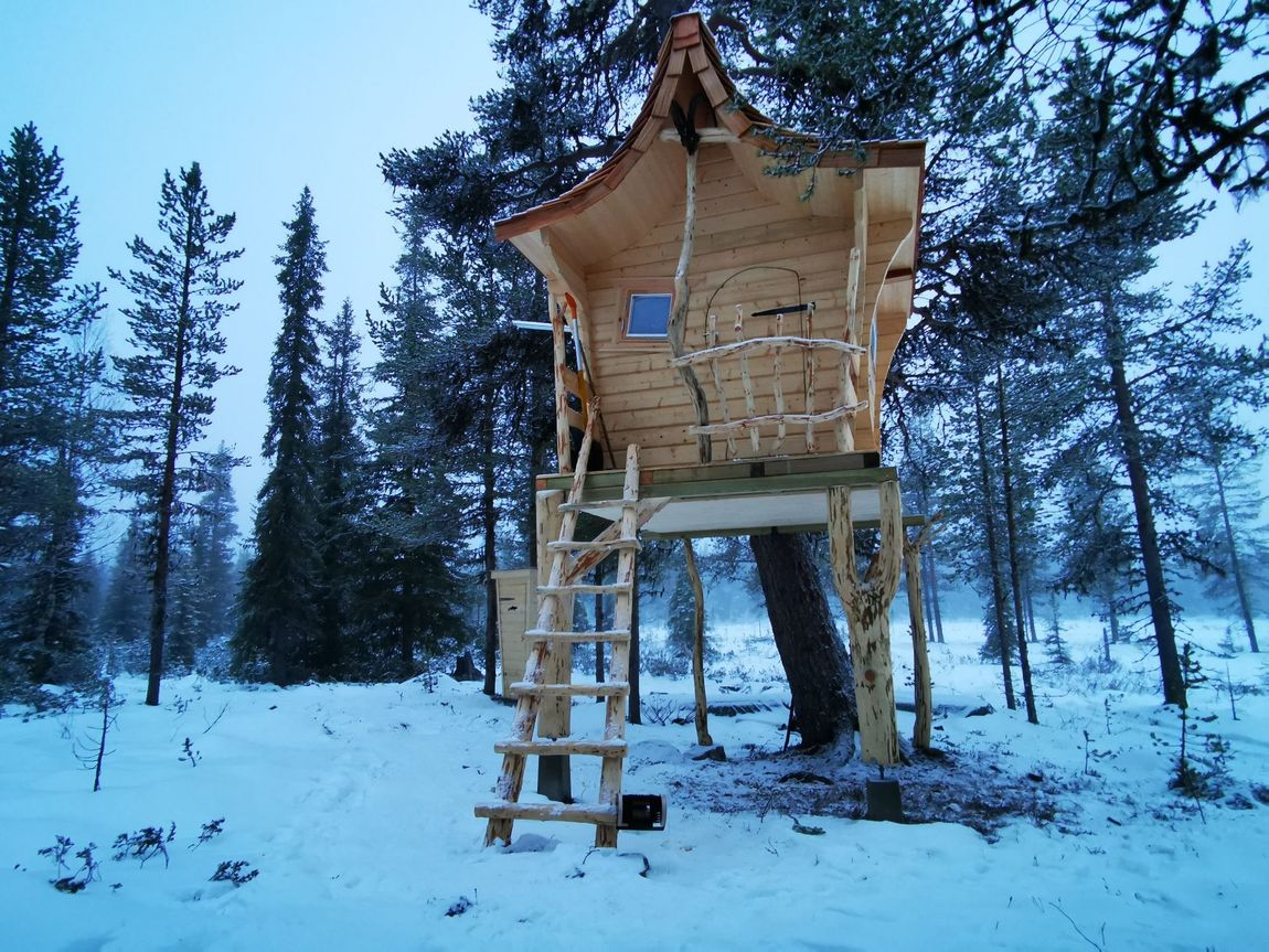 Tree house "Resting Raven" - rustic and close to nature
