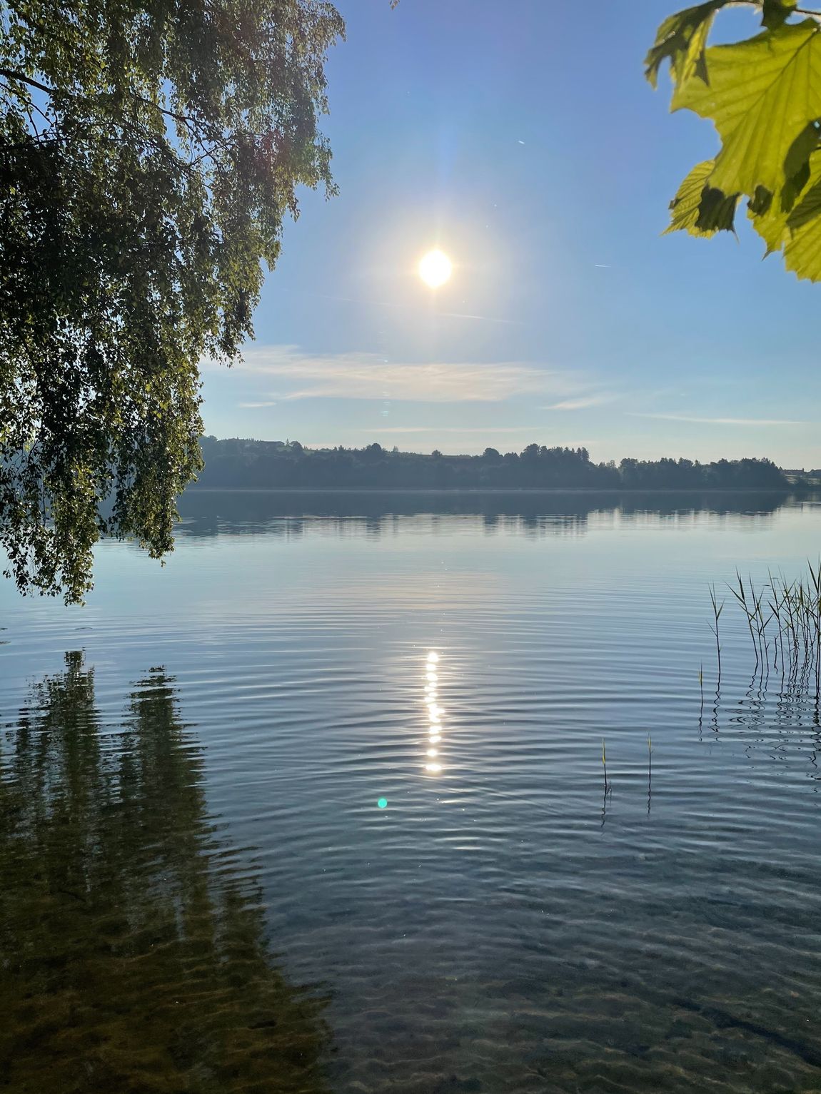 Piccola piazzola presso l'Hofmühle con lago naturale