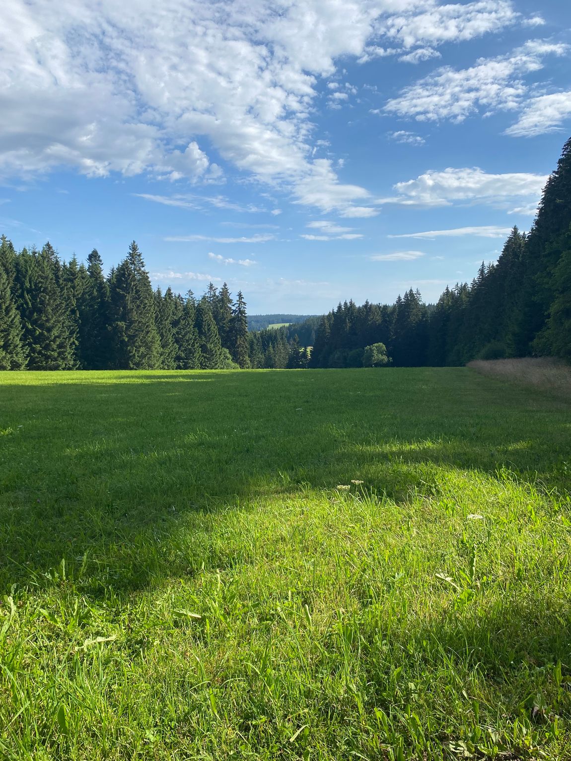 Naturcamping im Schwarzwald in Alleinlage