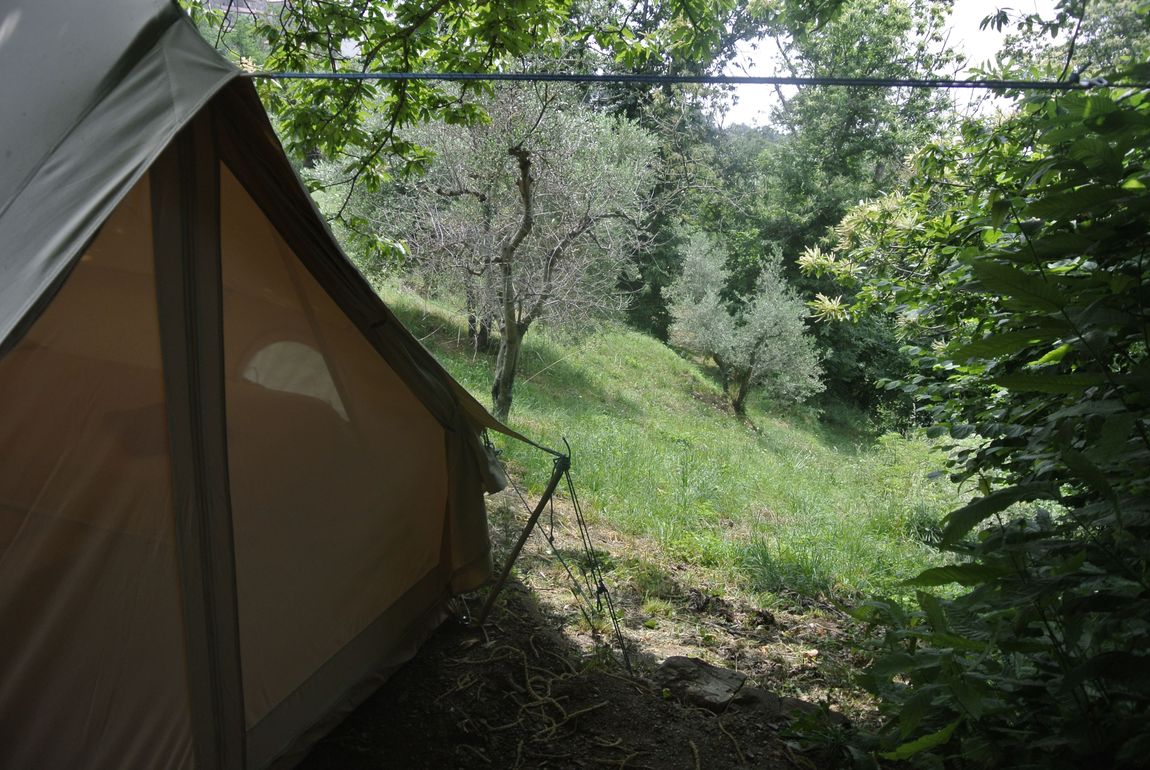 Bell-Zelt im Schatten der Bäume