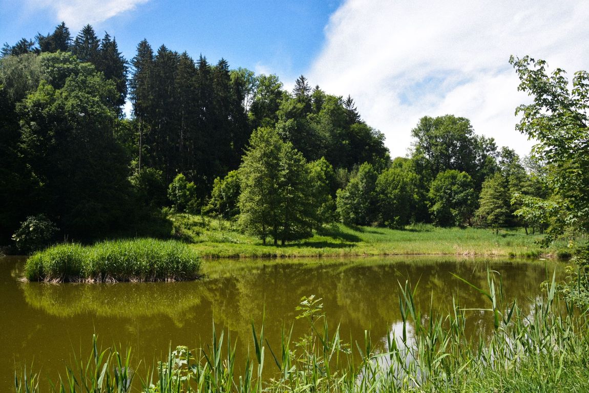 Enjoy nature in beautiful Allgäu, near Lake Constance