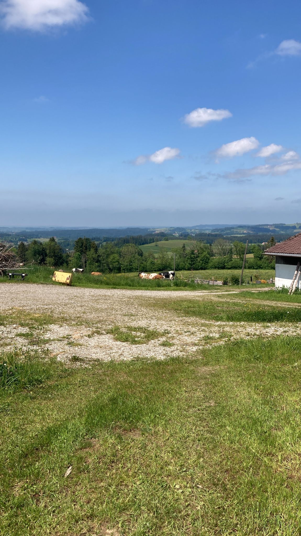 Un consiglio da insider con una vista meravigliosa in Allgäu