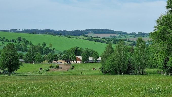 Piazzola nell'Erzgebirge nella fattoria dell'equitazione
