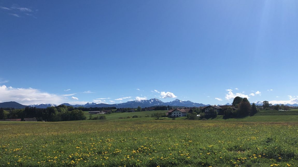 Meadow with view of the Chiemgau mountains