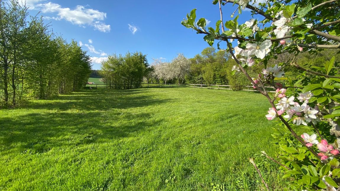 Sunny meadow in solitary location only 20 min. to Lake Constance