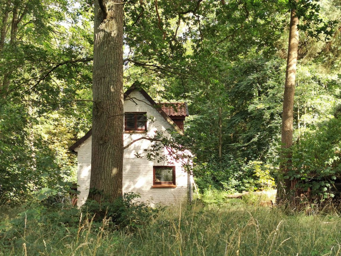 Geheimtipp - Alleinlage am Bach - Lüneburger Heide