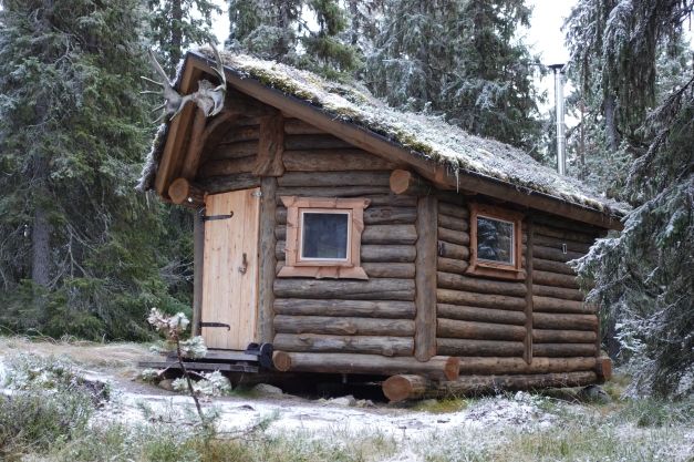 rustic log cabin "Crazy Loon" - experience pure nature