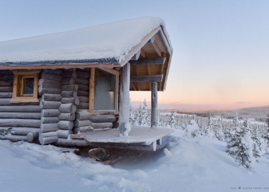 rustic log cabin "Mad Muskox" - border to wilderness