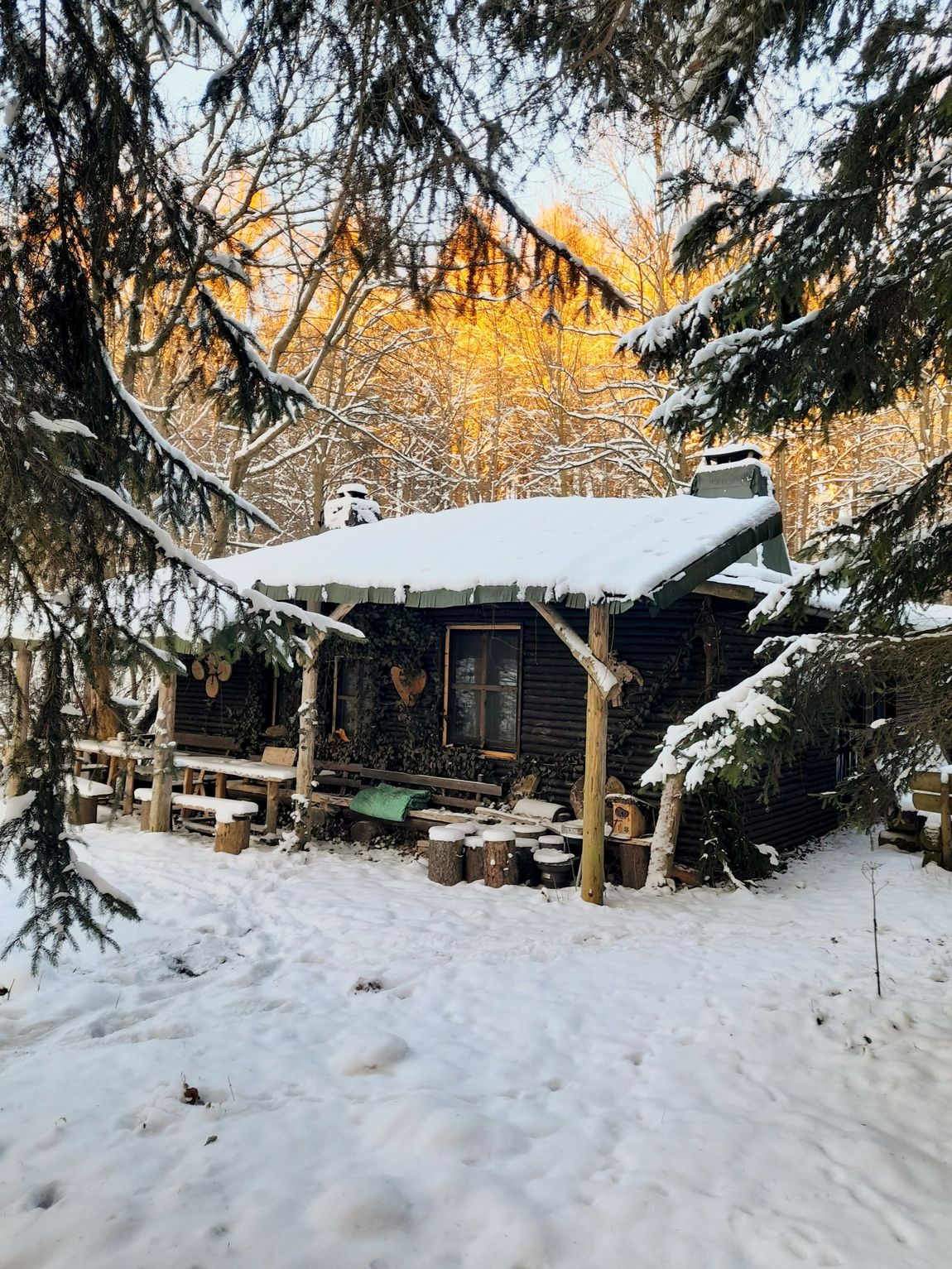 Wildes Auwaldhaus- Ferienwohnung Igelstübchen