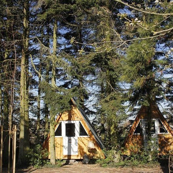 Waldhütte mit Sauna am Elbdeich